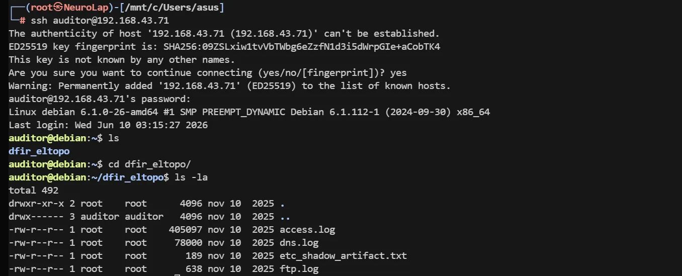 image-20260610095207994